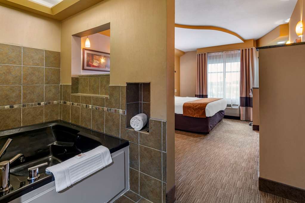Comfort Suites Perrysburg Toledo South - photo 16