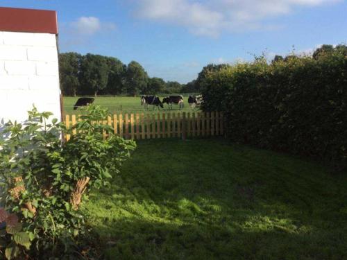 Ferienhuus Schwalbennüst 15183 in Leer, Germany