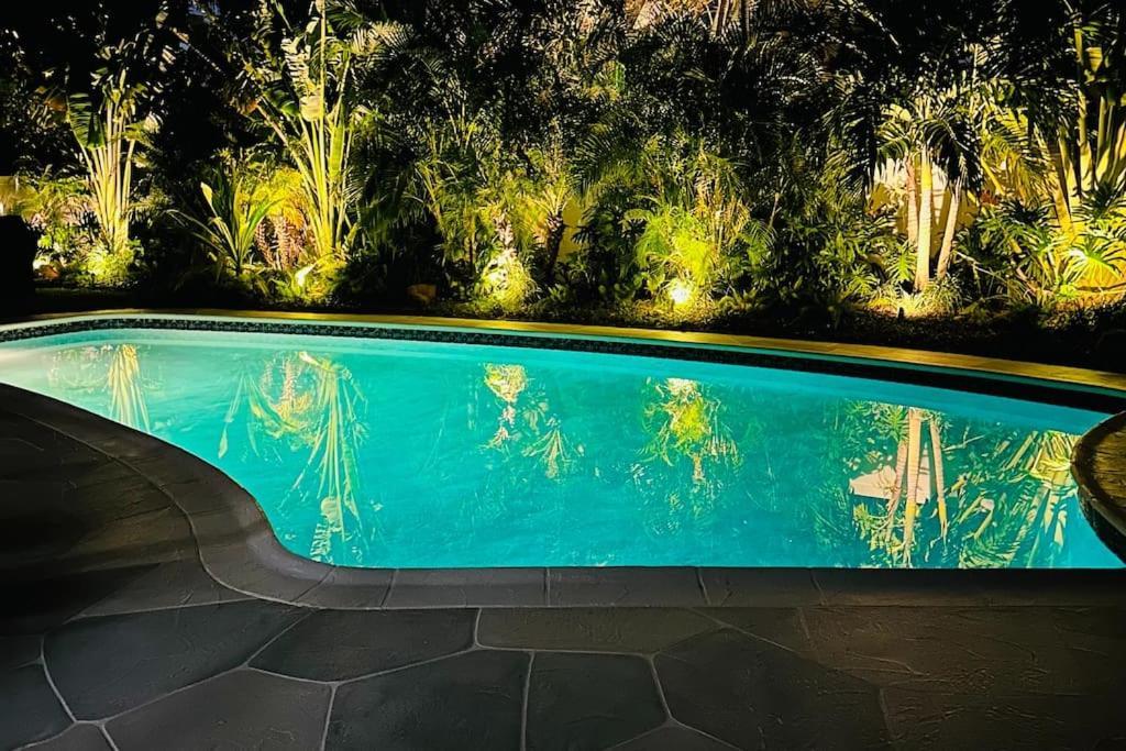Tropical Paradise in Lighthouse - last minute hotel in Lighthouse Point