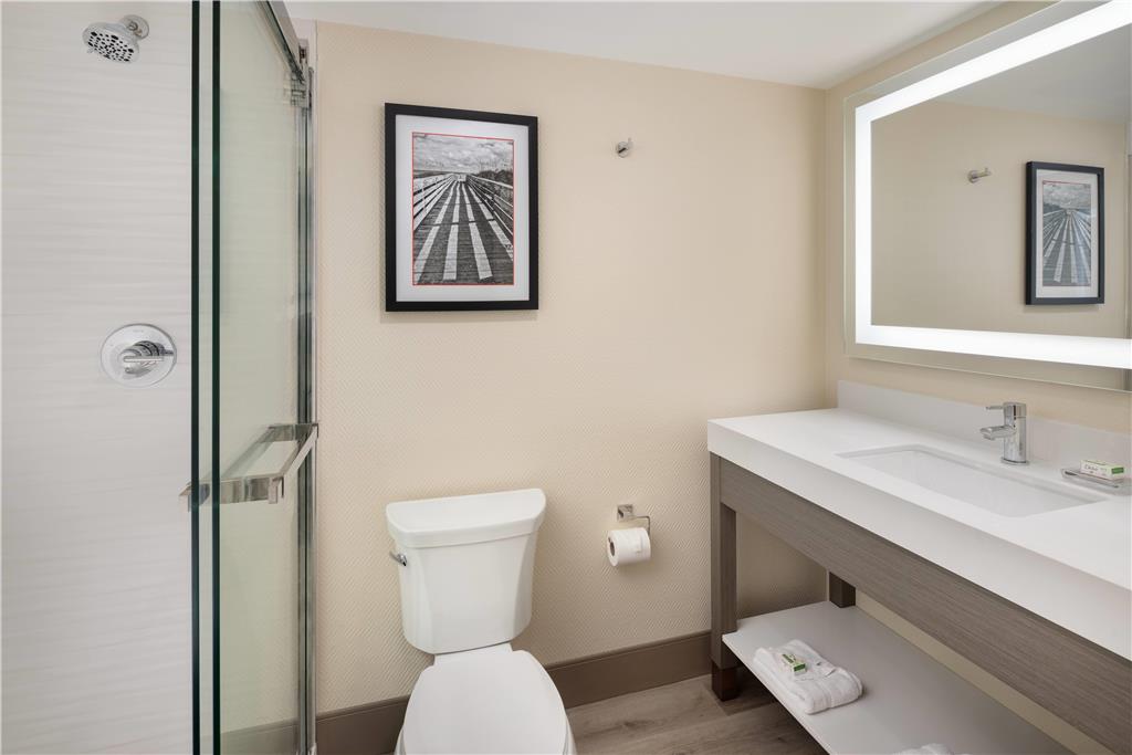 Ramada Plaza Resort & Suites by Wyndham Orlando Intl Drive - photo 35