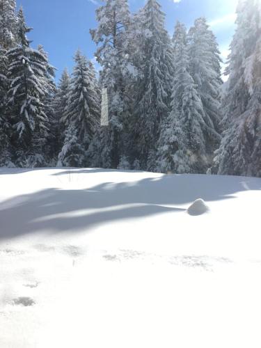 Borovets Chalets — Samokov — photo 3