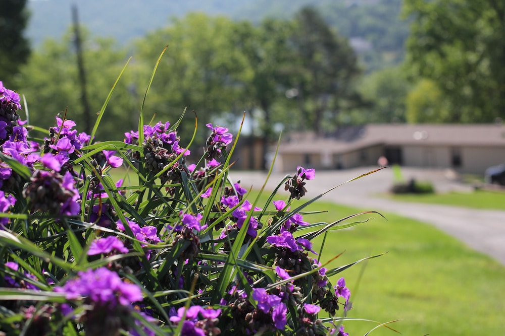 Mill Creek Resort on Table Rock Lake - photo 23