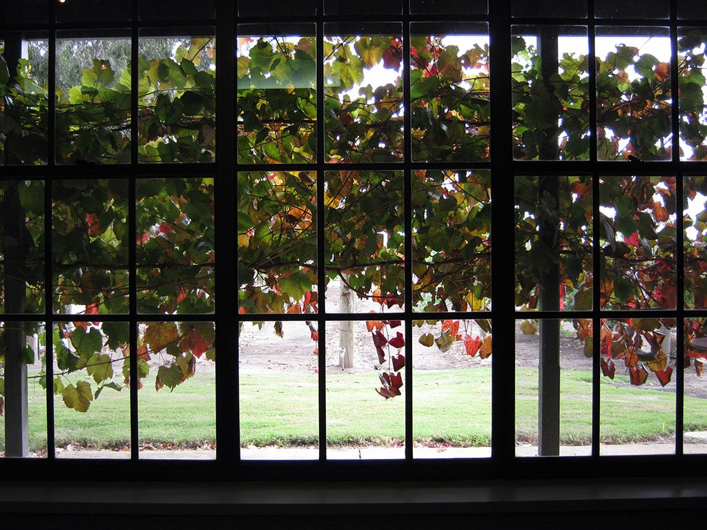 Under the Vines in Tanunda, Australia