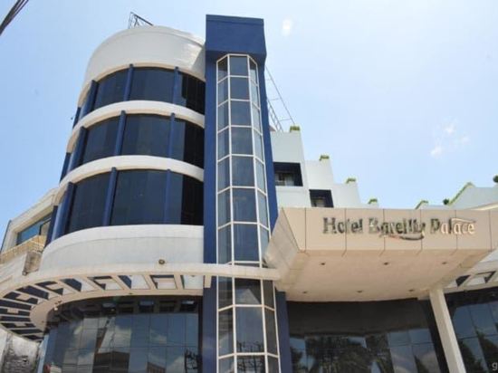 Hotel Bareilly Palace — Bareilly — photo 2