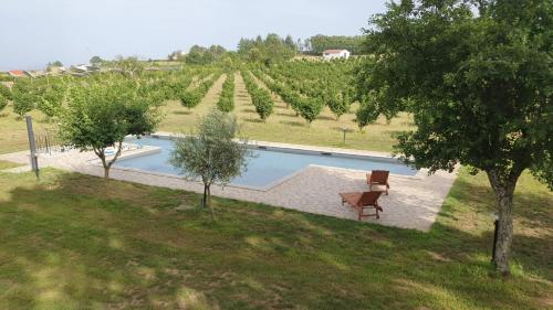 Domus Nirale in Bagnoregio, Italy