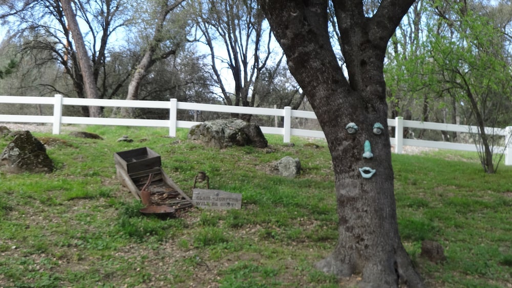 Little Valley Inn - photo 38