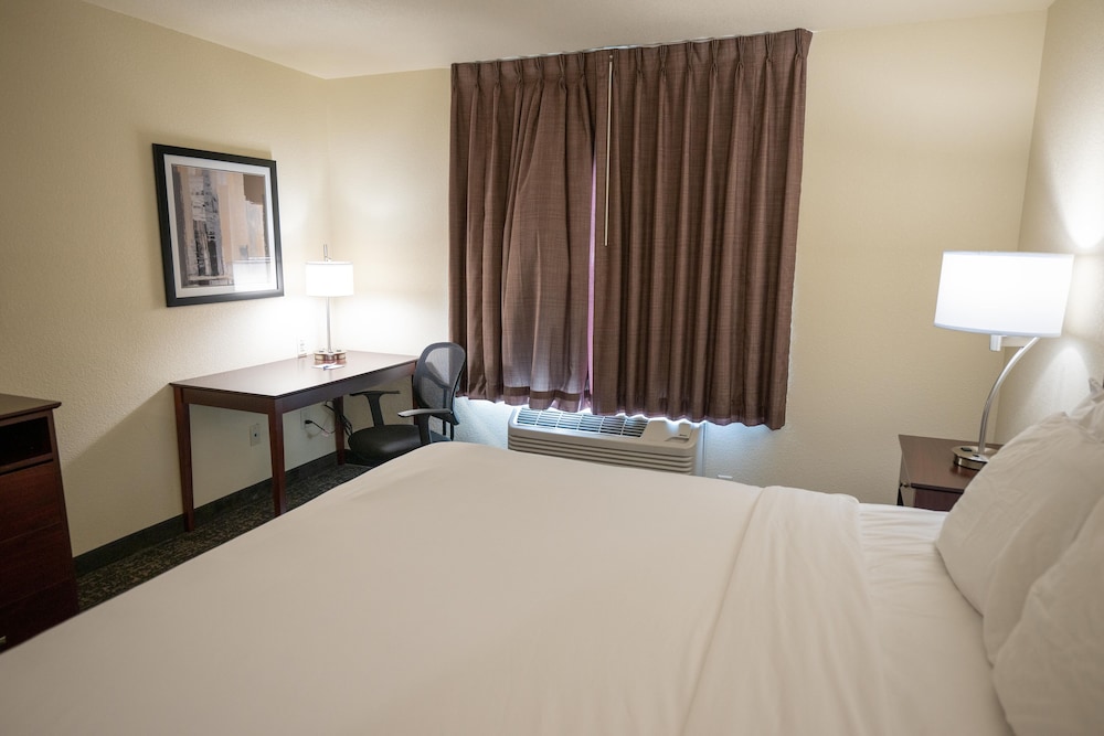Cobblestone Hotel & Suites Lamar - photo 9