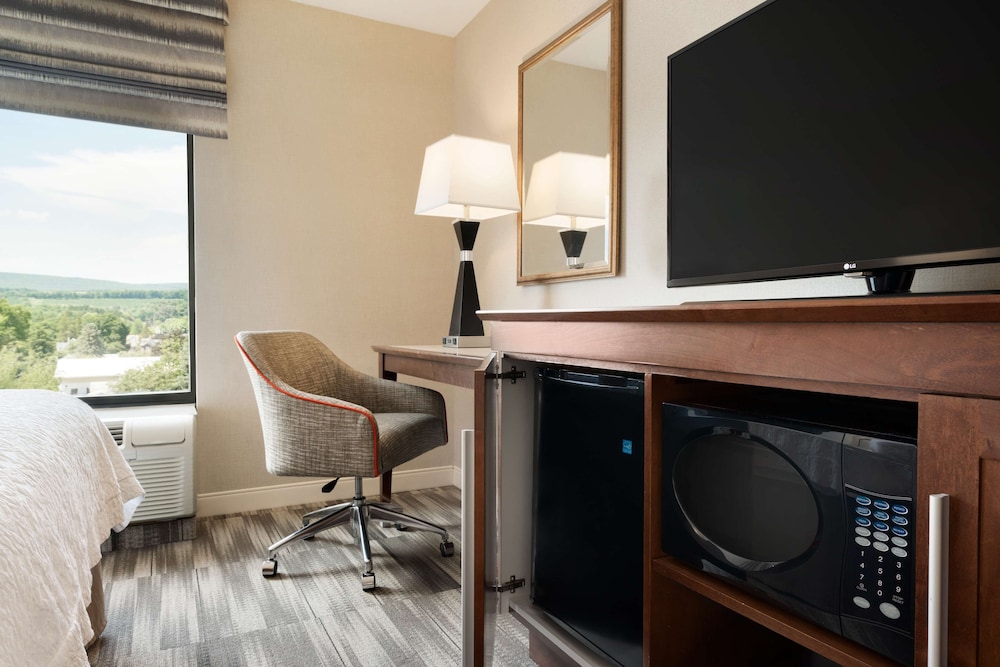 Hampton Inn Lehighton Jim Thorpe - photo 10
