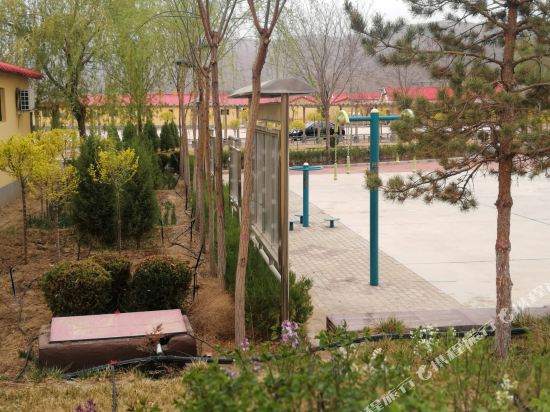 Yxnz in Zhongwei, People's Republic of China