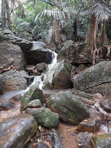 Nila Homestay — Punalur — photo 5