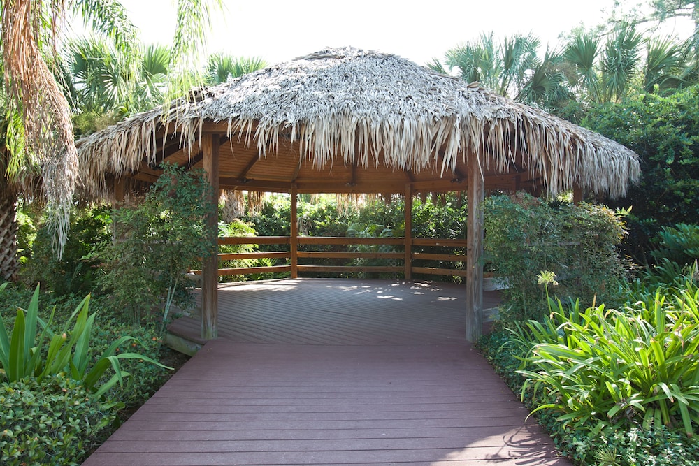 Bahama Bay Resort Near Disney - photo 134