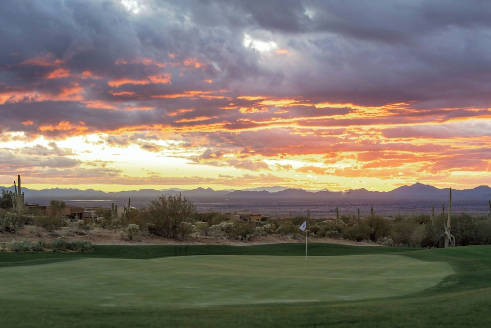 The Ritz Carlton Dove Mountain - photo 74