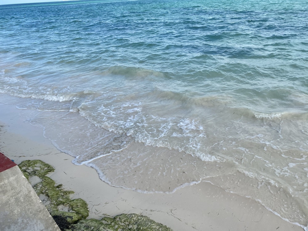 Beach/ocean view