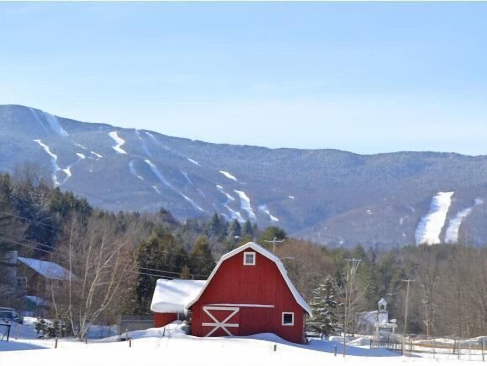 The Swanson Inn - photo 28