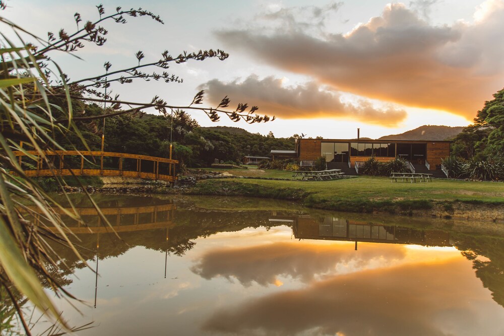 Tangiaro Kiwi Retreat in Coromandel, New Zealand