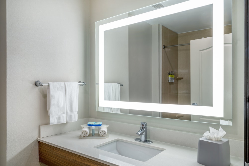 Holiday Inn Express & Suites Dallas East Fair Park by IHG - photo 17
