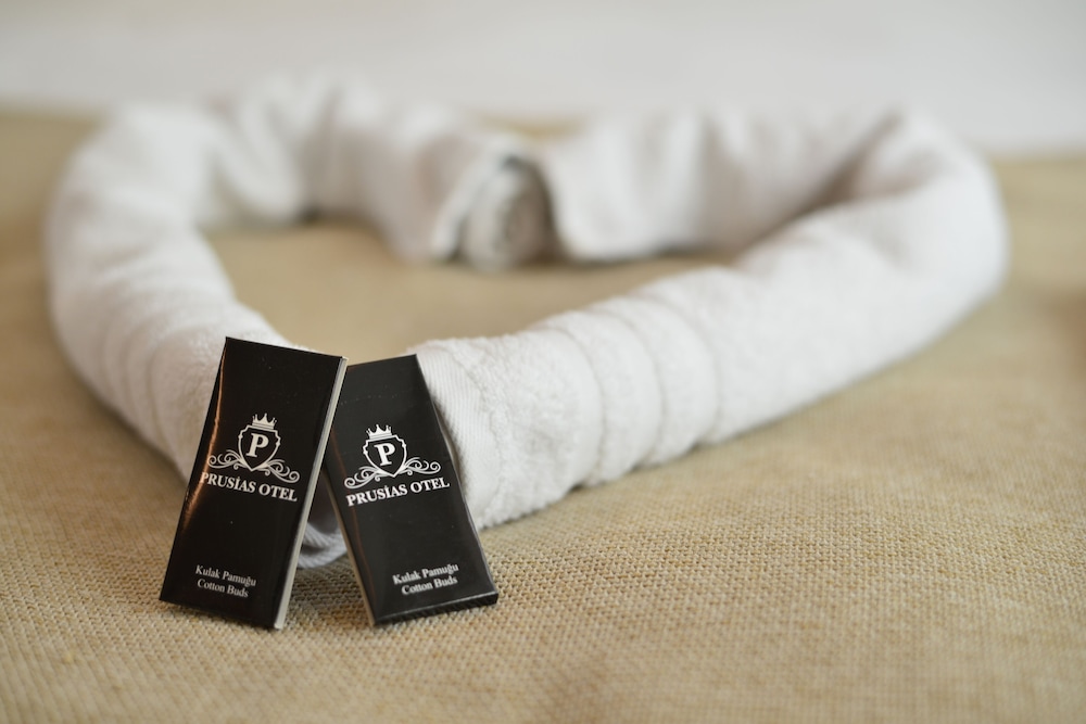 Prusias Otel in Bursa, Turkey