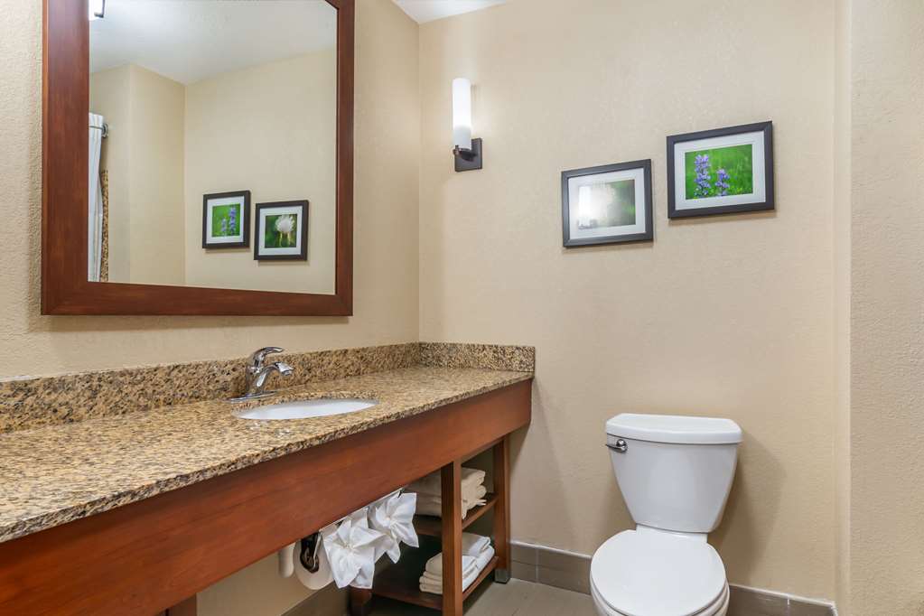 Comfort Suites Manhattan - photo 9