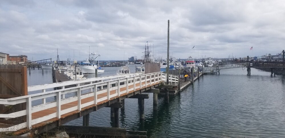 Islander Westport - photo 97