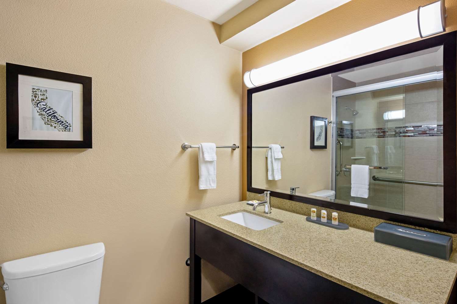 University Inn and Suites Berkeley - photo 31