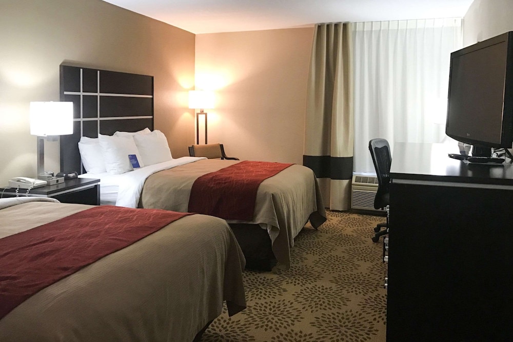 Comfort Inn North of Asheville - photo 27