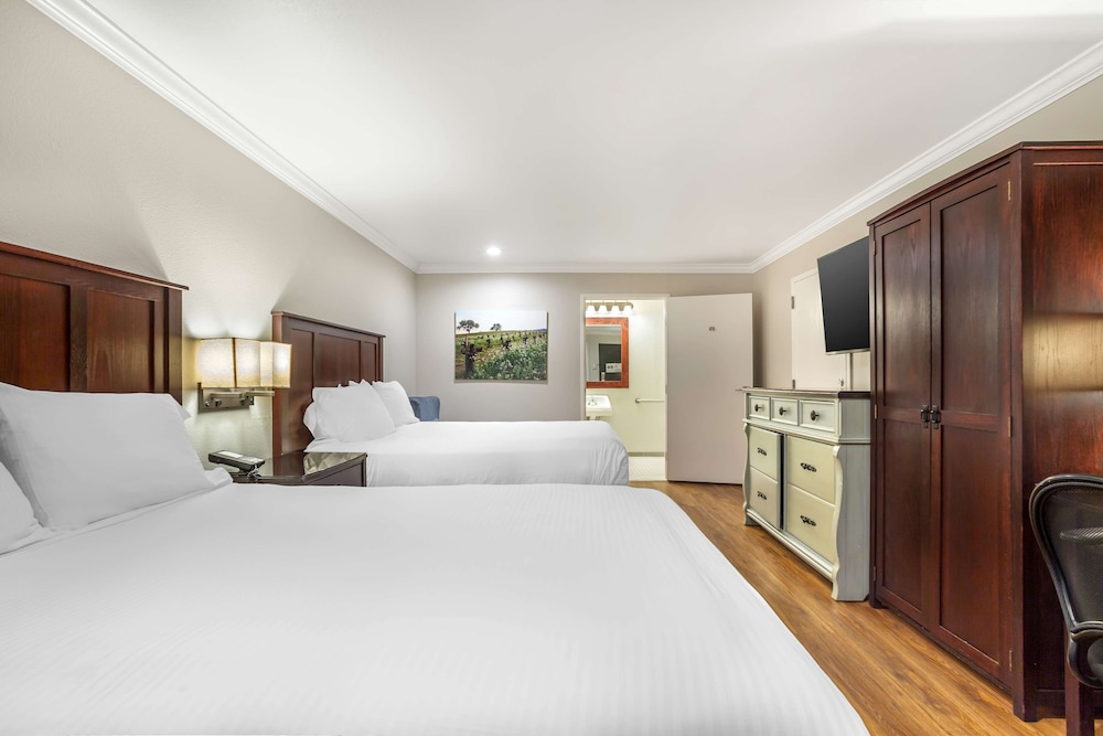 Dry Creek Inn MOD Collection by Sonesta - photo 20
