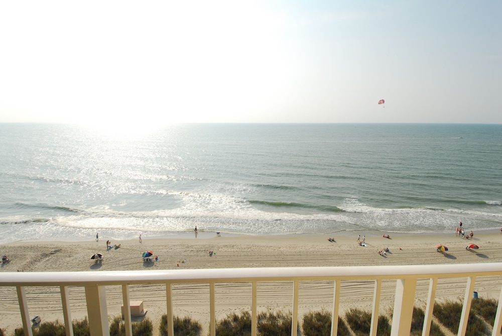 Sea Mist - photo 28