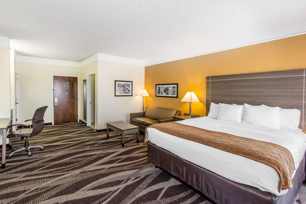 Comfort Inn near Frost Bank Center - photo 18