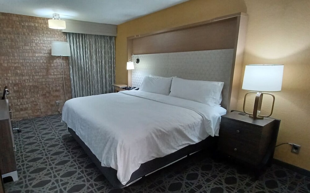 Holiday Inn McAllen Medical Center Area an IHG Hotel - photo 10