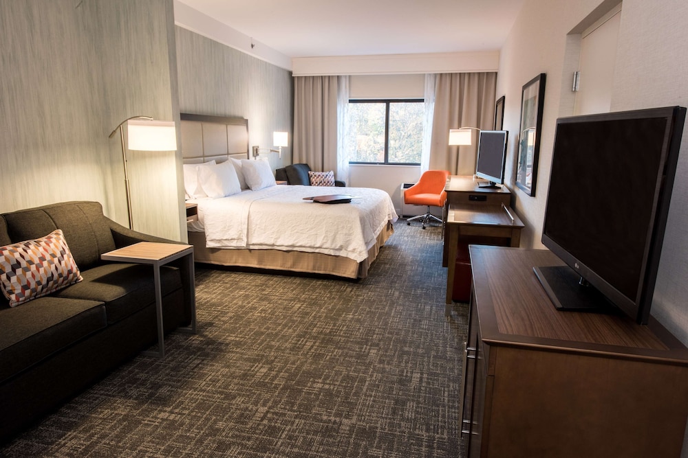 Hampton Inn Albany Western Ave University Area - photo 8
