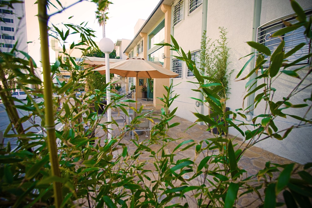 Hollywood Celebrity Hotel - photo 47