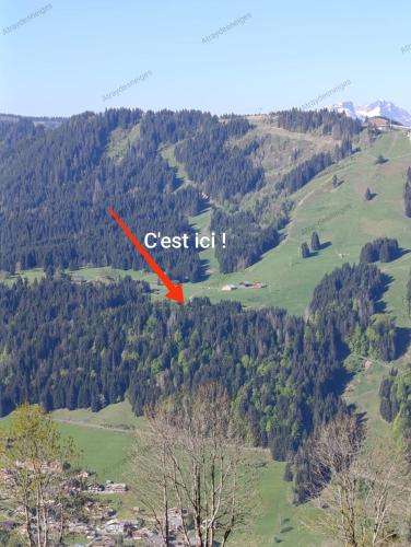 Chalet d alpage en montagne L Atray Des Neiges 3 étoiles multipass gratuit in Morzine, France