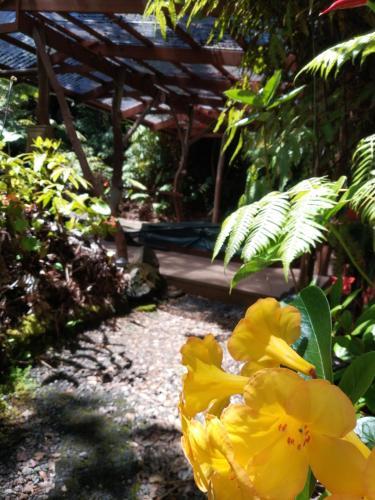 Volcano Inn - photo 67
