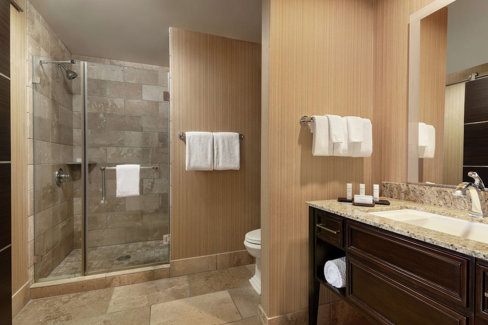 Embassy Suites by Hilton Salt Lake West Valley City - photo 50