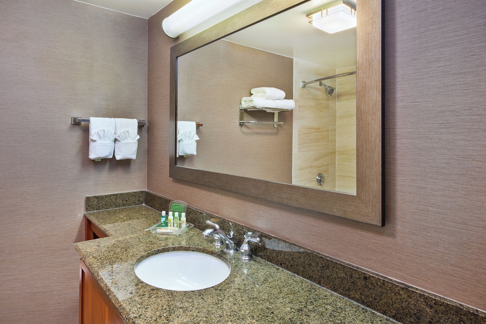 Holiday Inn Washington Dulles International Airport by IHG - photo 18