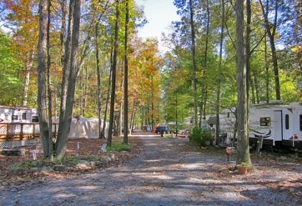 Appalachian Campsites - photo 66