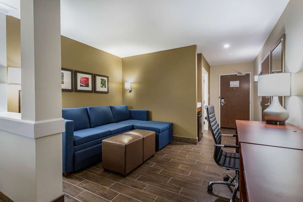 Comfort Suites Bowling Green Southeast - photo 15