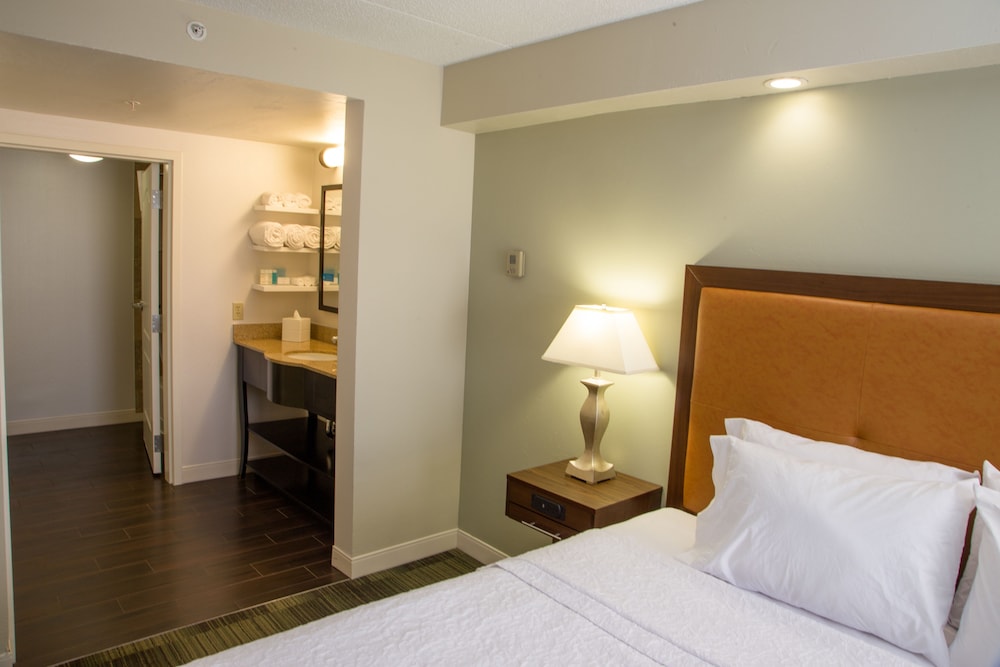 Hampton Inn & Suites Albany Downtown - photo 6
