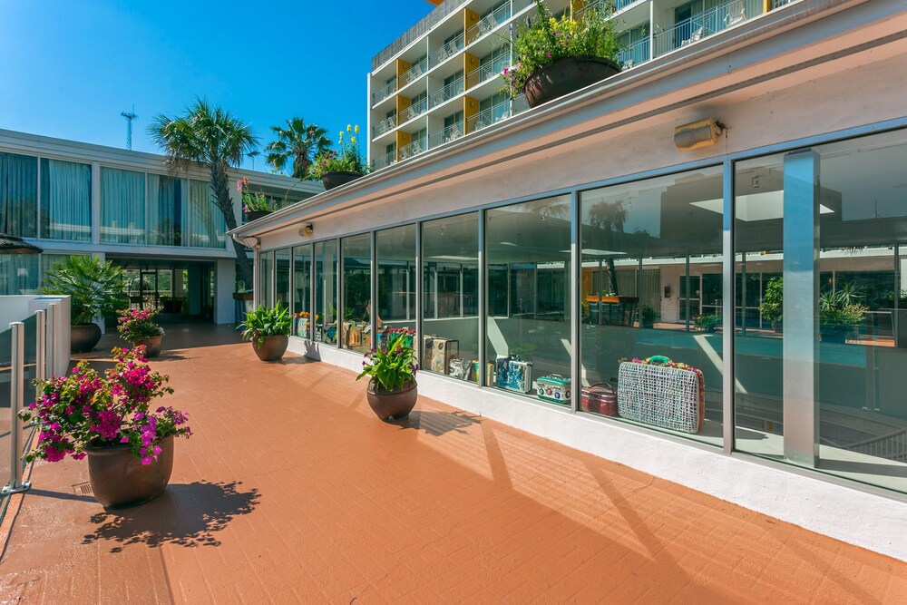 El Tropicano Riverwalk Hotel - photo 38