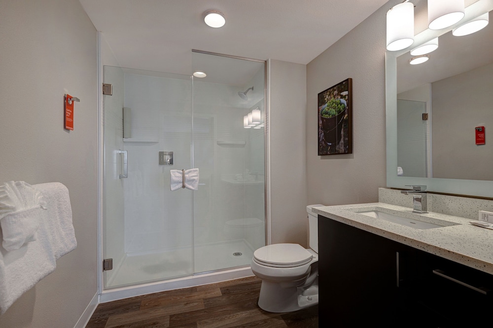 TownePlace Suites San Luis Obispo - photo 26