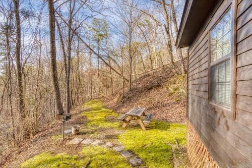 Bear Den Hot Tub 1089 of FREE Attraction tickets for each paid day Dollywood and More - photo 8