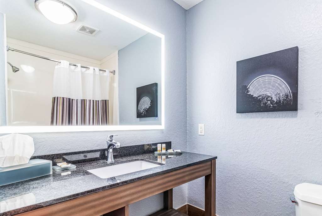 La Quinta Inn & Suites by Wyndham Tomball - photo 22
