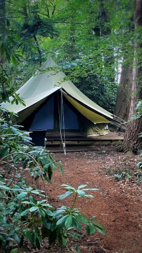Sensi Glampingtenten Midden In De Bossen — Oostkamp