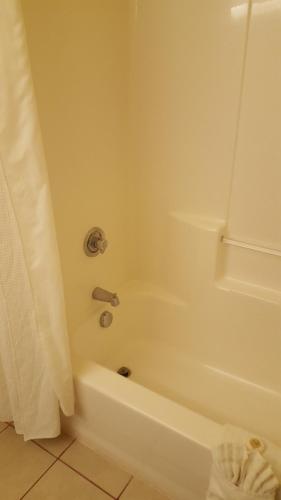 Reddy Hotel - photo 5