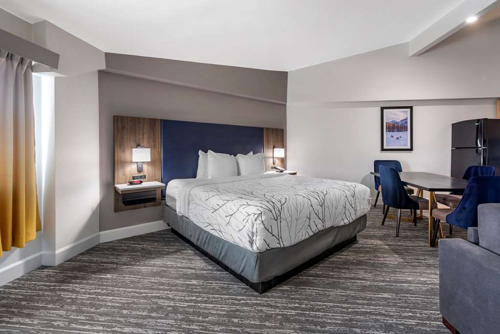 Best Western Premier Denver East - photo 18