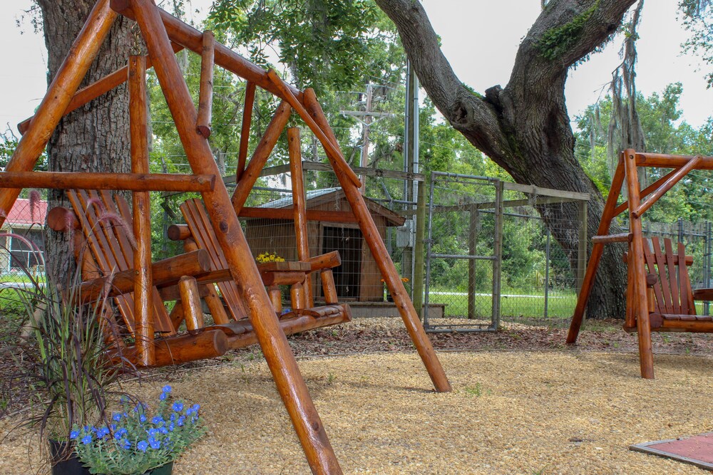 Steinhatchee River Inn - photo 72