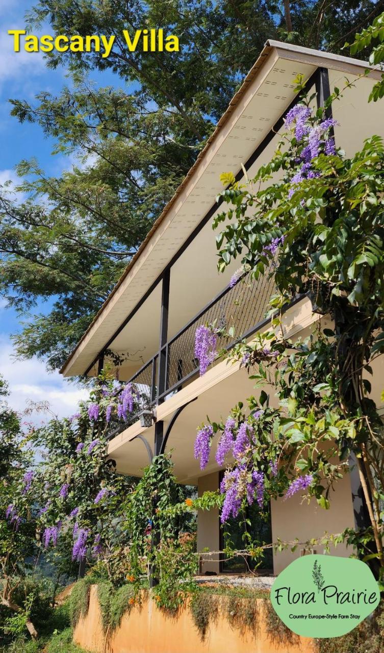 Flora Prairie at Mae Rim Chiang Mai in Unknown City, Thailand