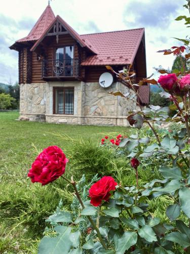 Sofiya - carbon neutral hotel in Vorokhta