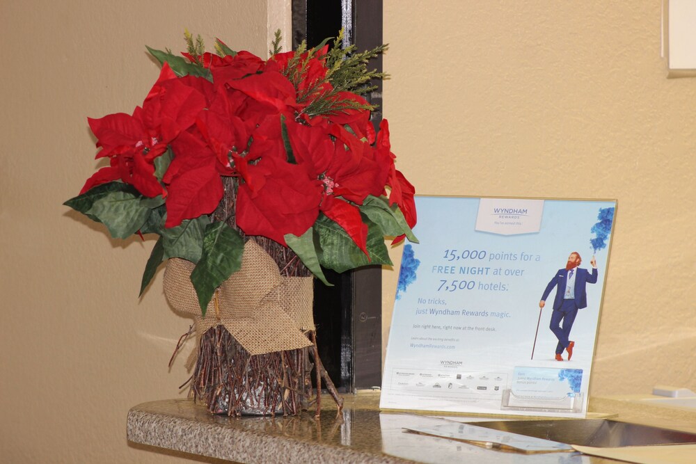 Super 8 by Wyndham Tuscaloosa - photo 3