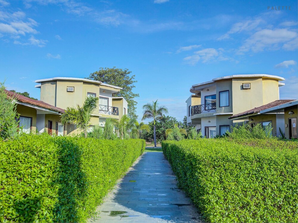 Treebo Tigers Pug Marks in Haldwani, India